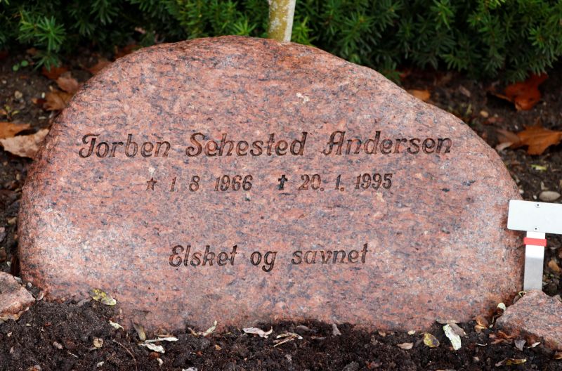 Torben Sehested Andersen.JPG